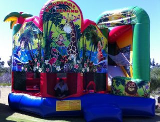 Inflateable Rides and Slides